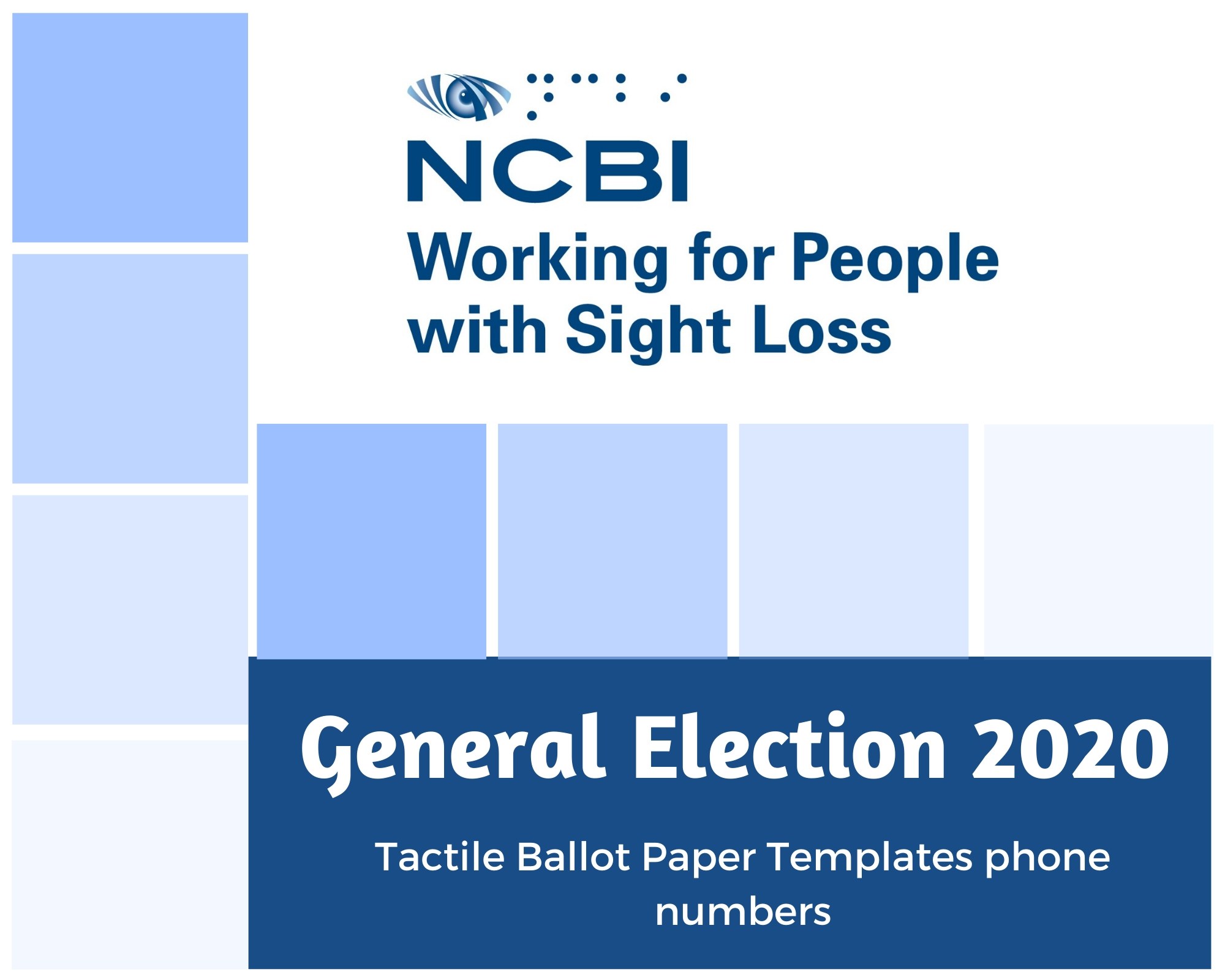GE2020 - Tactile voting