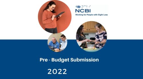 Pre-Budget Submission 2022, showing a woman using a tablet, two women baking in a kitchen, and an I T trainer helping a service user