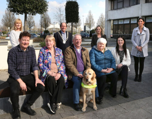 The Laois Sightless Cinema Group sitting together in a group shot alongside a guide dog