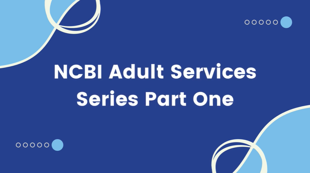 The opening slide of the Vision Ireland Adult Services Series Part One. The slide is dark blue, with lighter blue in the top left and bottom right hand corners.
