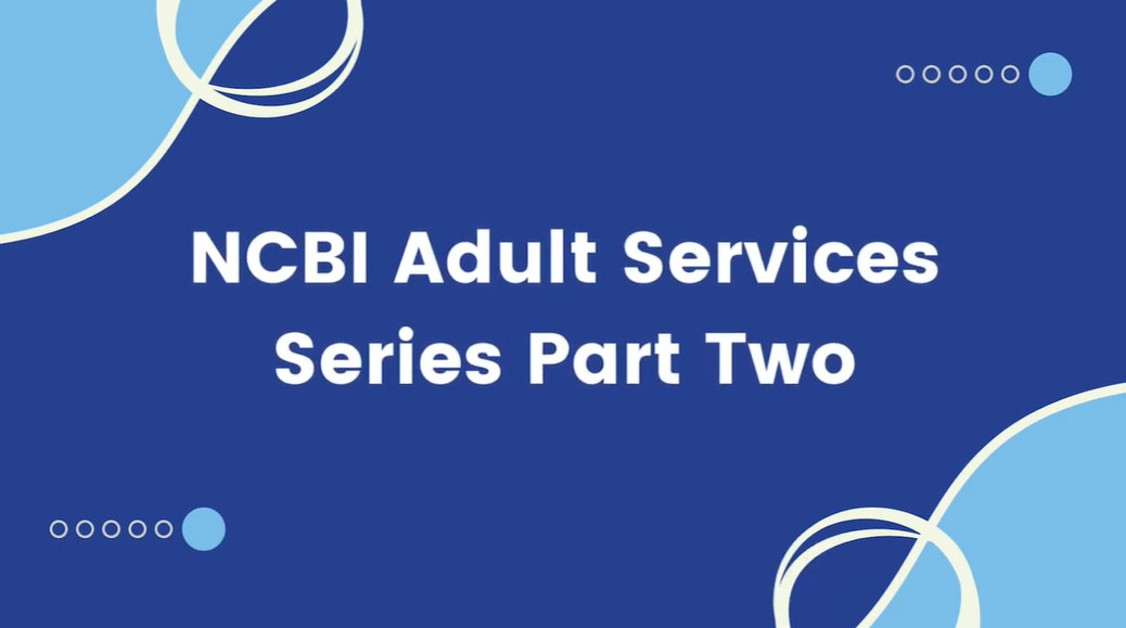 The opening slide of the Vision Ireland Adult Services Series Part Two. The slide is dark blue, with lighter blue in the top left and bottom right hand corners.