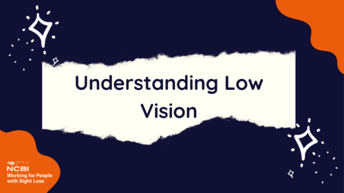 The opening graphic for the Understanding Low Vision video has a navy background and two orange blob designs in the top right and bottom left hand corners. There are twinkling star designs on the image as well and the title Understanding Low Vision is written across the middle of the image on a white background.