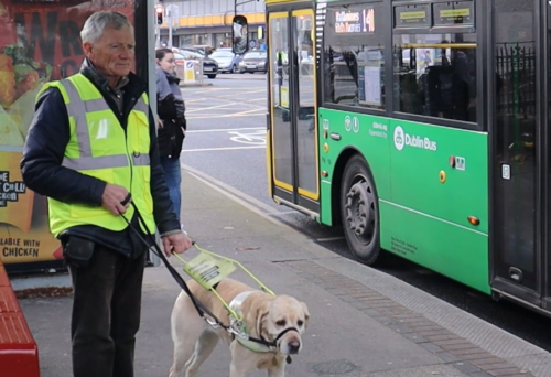 Robert Thompson is standing at a bus stop. He is wearing a high visibility vest and his holding the lead for his blonde guide dog. A bus is pulled up in front of him and his dog.