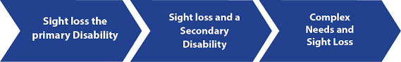 Graphic: children with sight loss and additional disabilities